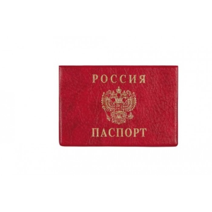 Обложка для паспорта горизонт. красная ДПС