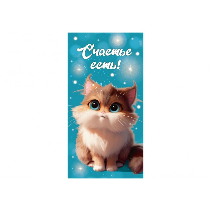 Конверт для денег Dream Cards Счастье есть, холст котенок