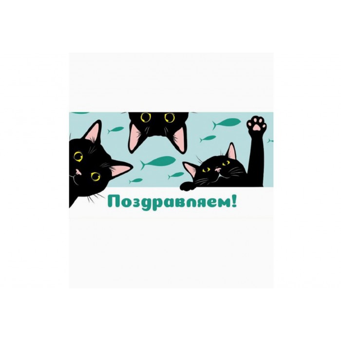 Конверт для денег Optima Поздравляем! черные котики