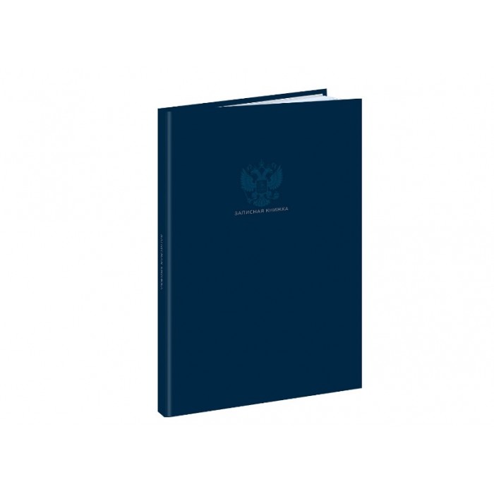 Записная книга А4 80л. ОДНОТОННЫЙ МИНИМАЛИЗМ 7БЦ глянцевая ламинация