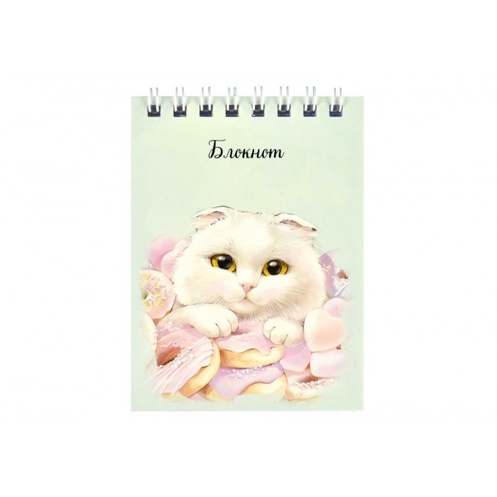 Блокнот А7 40л # КОТ С ПОНЧИКОМ гребень